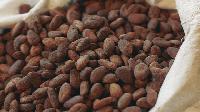 Click to watch 'The Gift of Chocolate' (popup) A World Of Calm